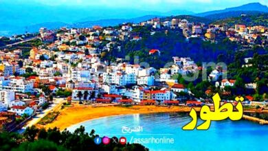 tabarka-ain-draham-780x470