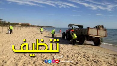 Agent de nettoyage de plage