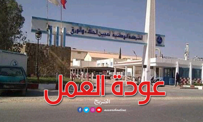 Alfa Pulp and Paper Company à Kasserine