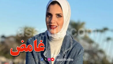 Dina Alaa