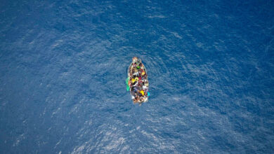 Immigration (1)