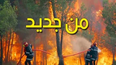 Incendie mont El Frouha Seliana