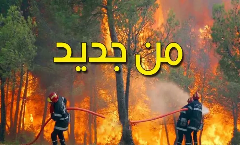 Incendie mont El Frouha Seliana