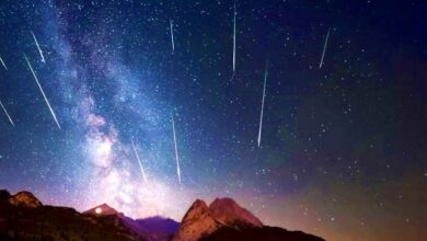 Perseids-Riverland