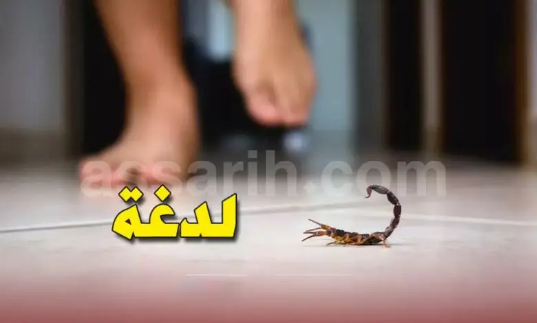 Piqure-de-scorpion-780x470