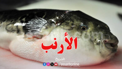 Poisson Sigan