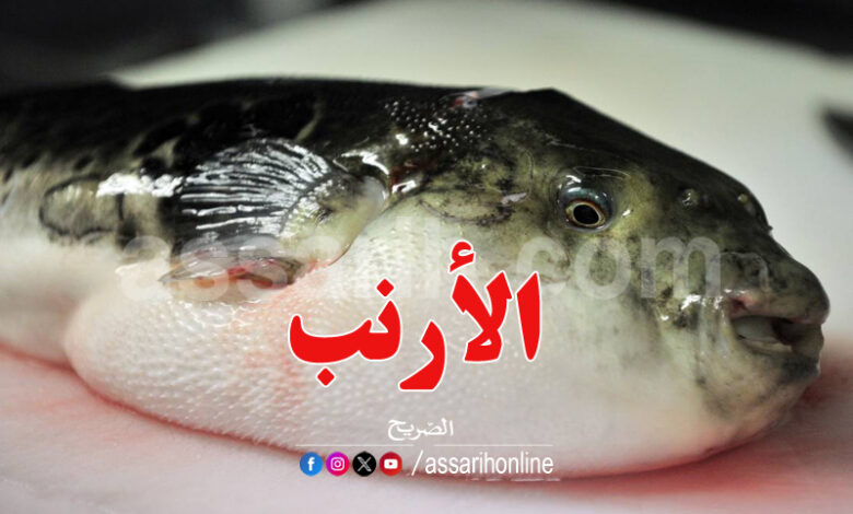 Poisson Sigan