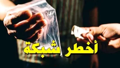 Saiasie-Drogue-Port-La-Goulette