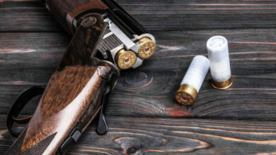 Saison de chasse sauvage
