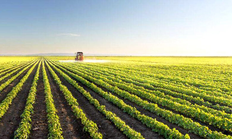 agriculture majeure
