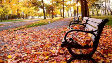 automne