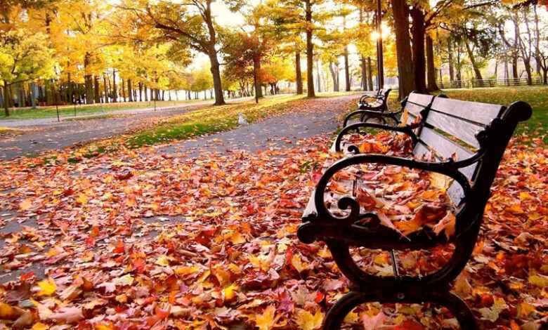automne