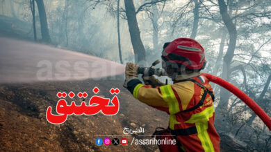 incendie foret aude France