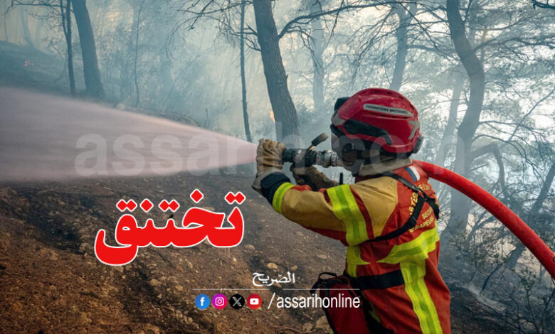 incendie foret aude France