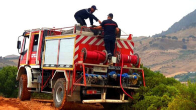 incendie foret hammam bourguiba