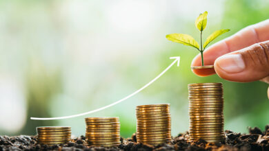 investissement (1)