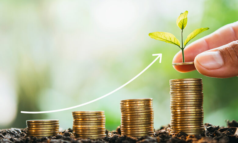 investissement (1)