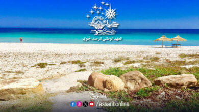 plage-tunisie-1-780x470
