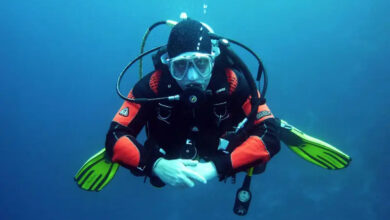 plongée sous marine