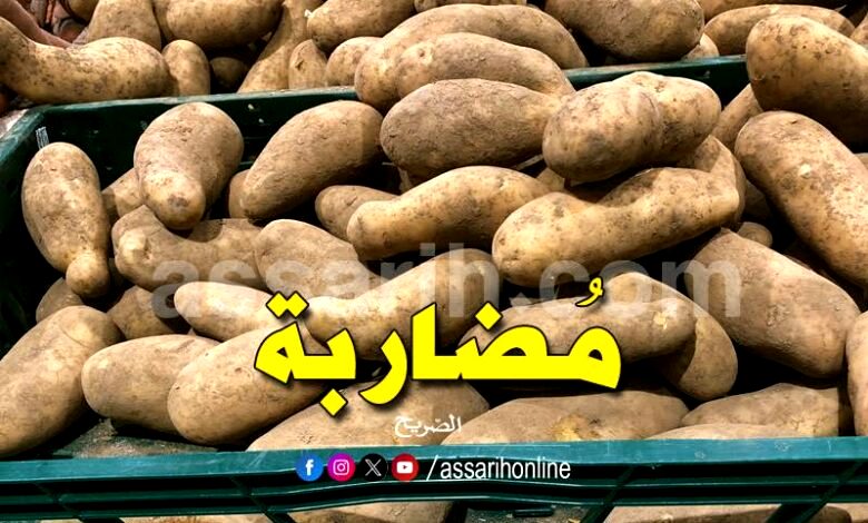 pomme de terre