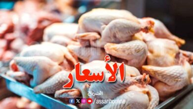 poulets -780x470
