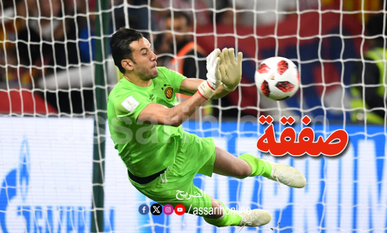 rami jridi