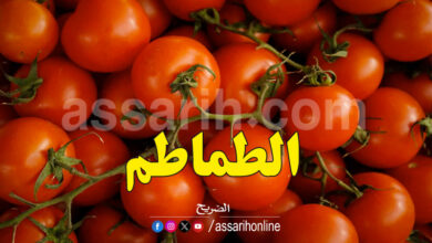 tomate
