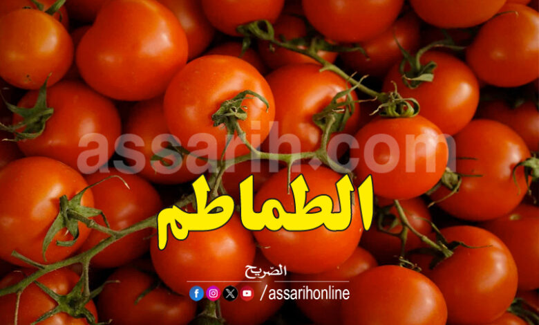 tomate