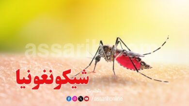 virus chikungunya