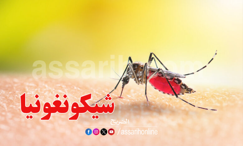 virus chikungunya