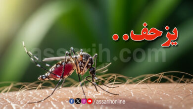 virus chikungunya