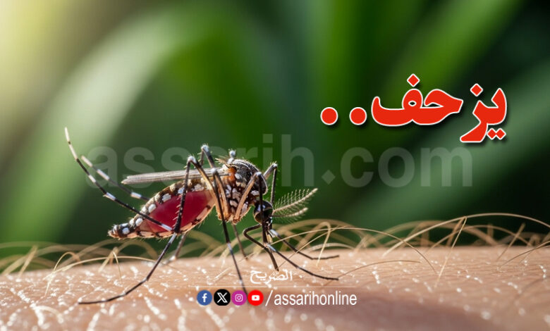 virus chikungunya