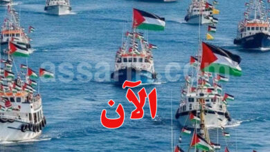 Flotte mondiale de stabilité
