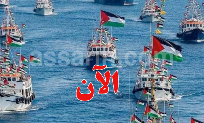 Flotte mondiale de stabilité