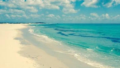 La plage en tunisie