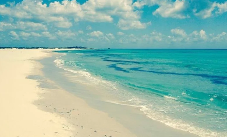La plage en tunisie