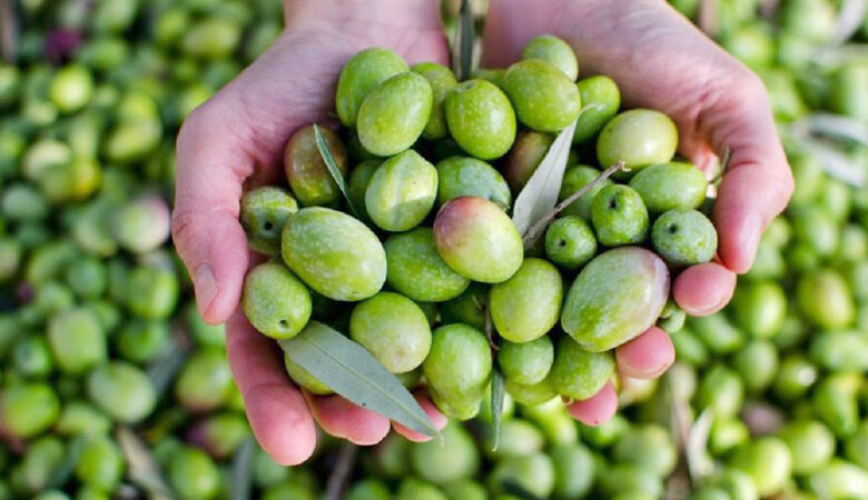 Olives