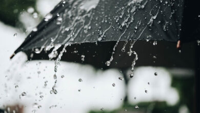 Orages Fortes pluies