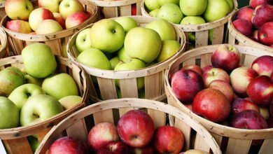 Pommes