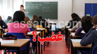 Professeurs