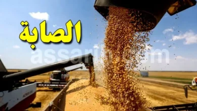 Récolte céréales Tunisie 2025