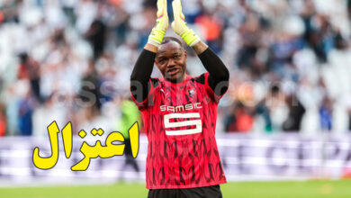 Steve Mandanda