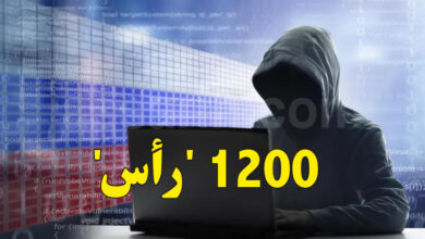 démentelement d un reseau de Fraude numérique