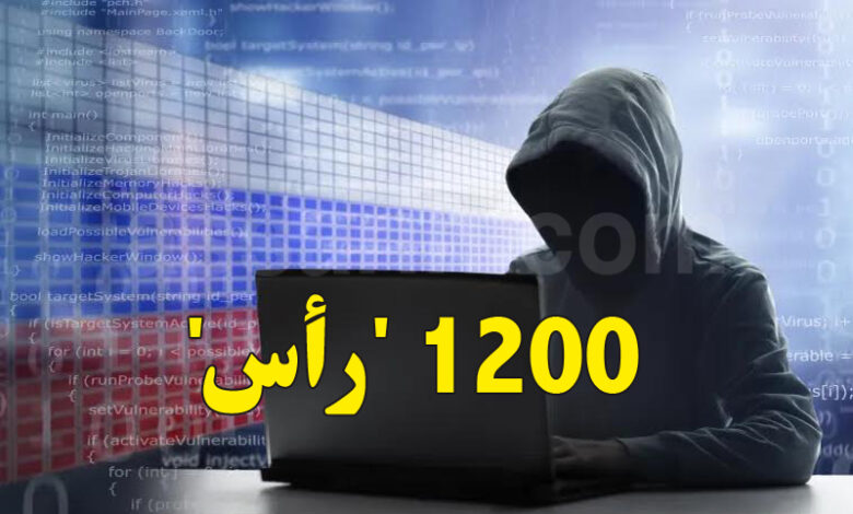 démentelement d un reseau de Fraude numérique