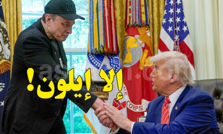 donald trump elon musk