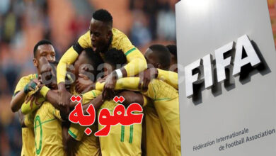 fifa et sud d'afrique