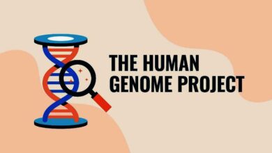 human genome project 10092025