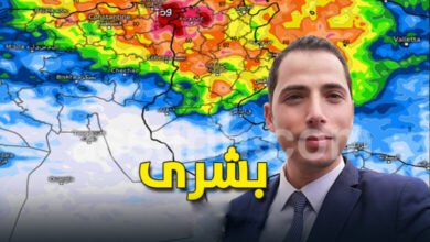 mehrez ghannouchi