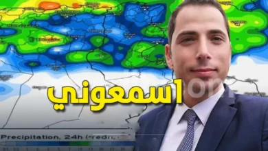 mehrez-ghannouchi-780x470 (1)