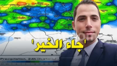 mehrez-ghannouchi-780x470
